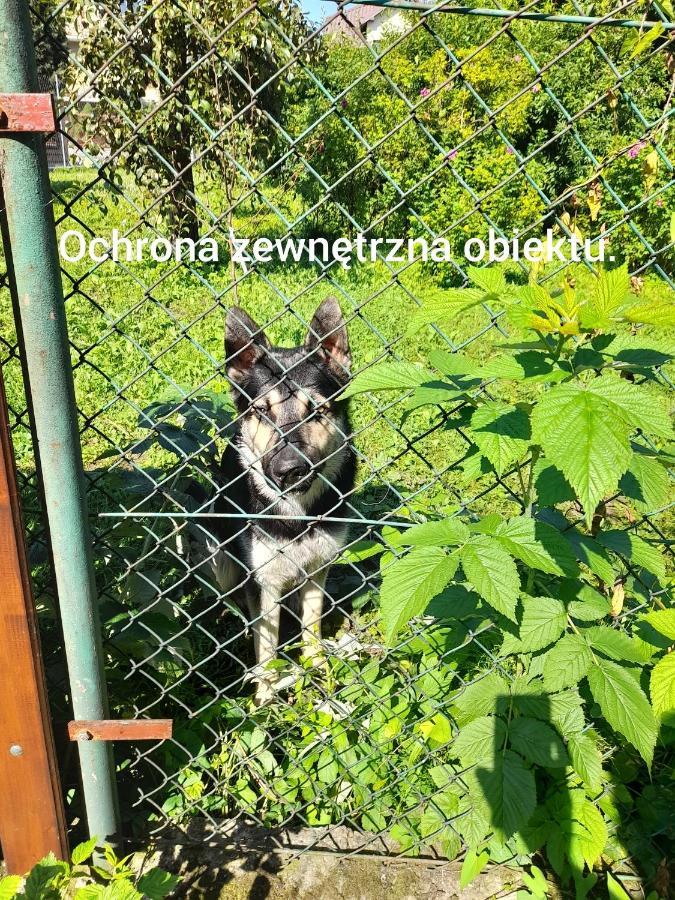 Noclegi Grota Jasło Extérieur photo